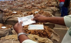 重大來襲！正宗煙草批發(fā)代理直銷“依依惜別”